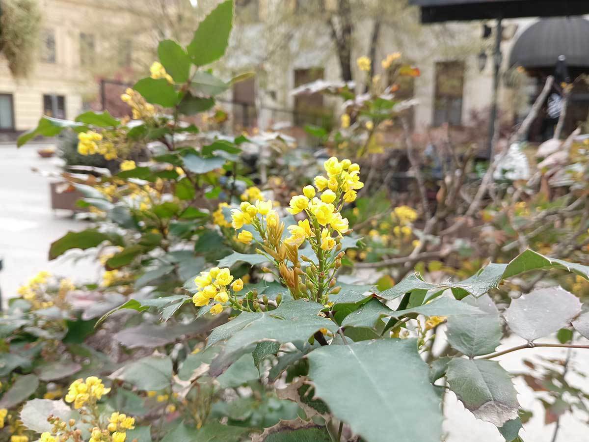  realme 10 kamera 3.jpg - SmartLife / Ilija Baošić 