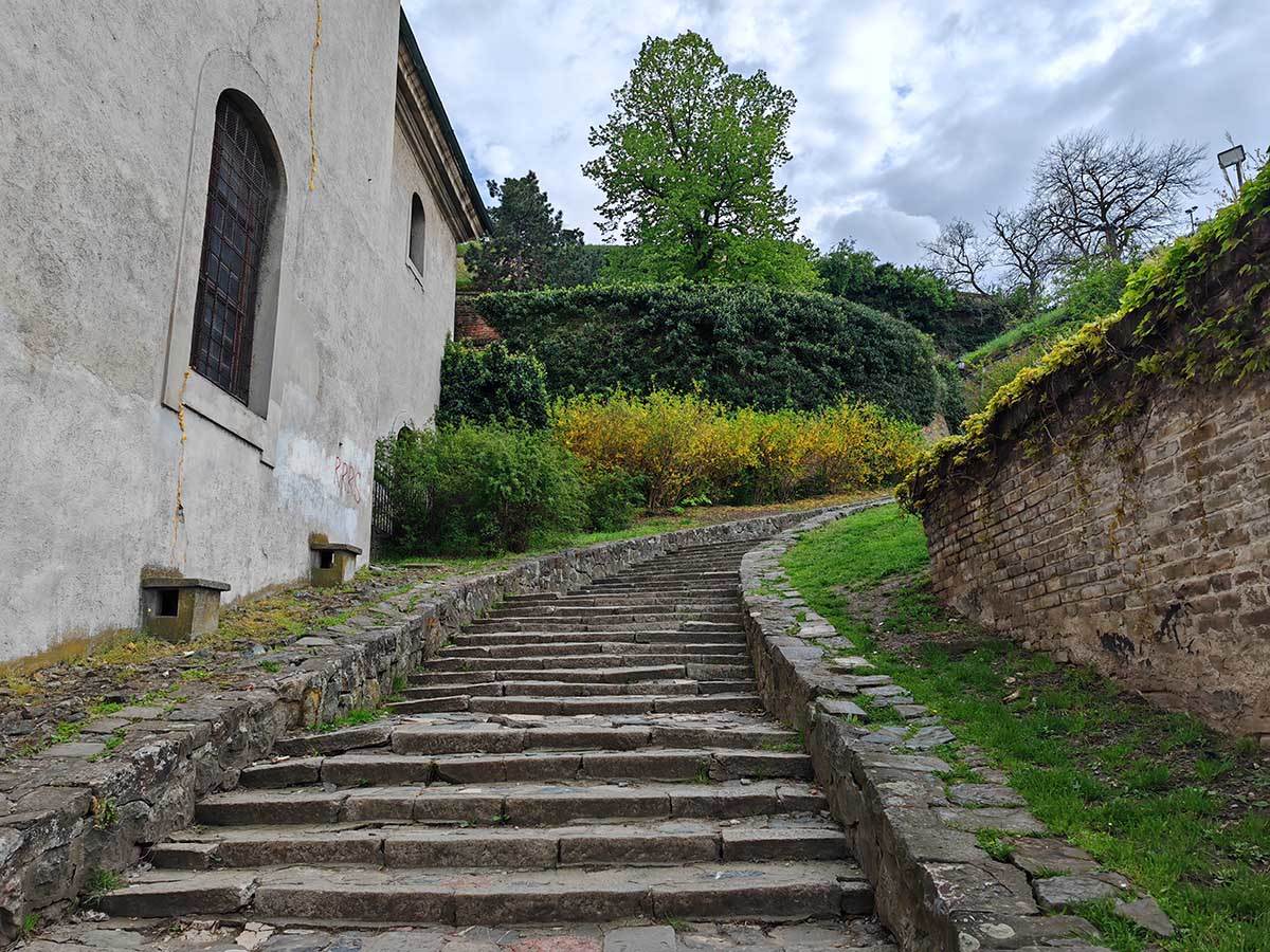  HONOR Magic5 Pro slike danju 6.jpg - SmartLife / Ilija Baošić 