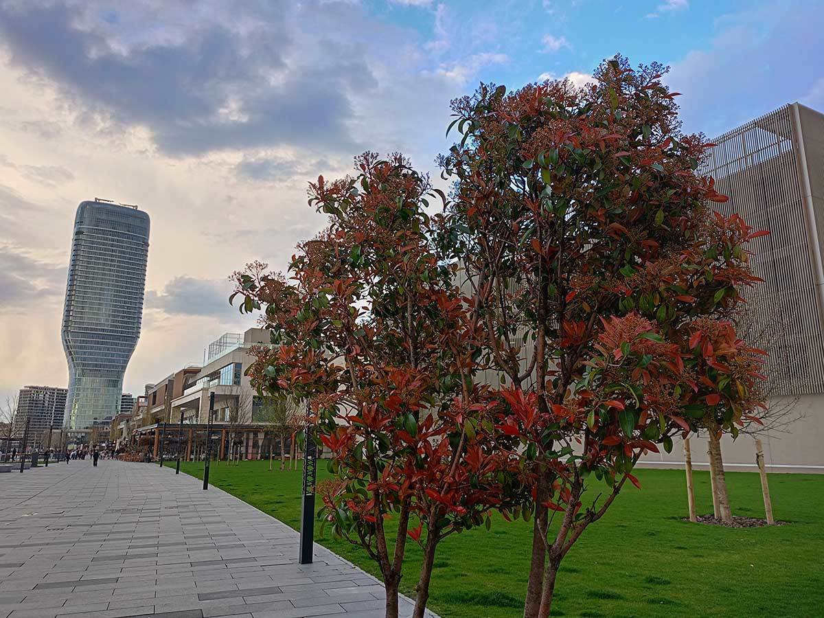  realme C55 slike  5.jpg - SmartLife / Ilija Baošić 