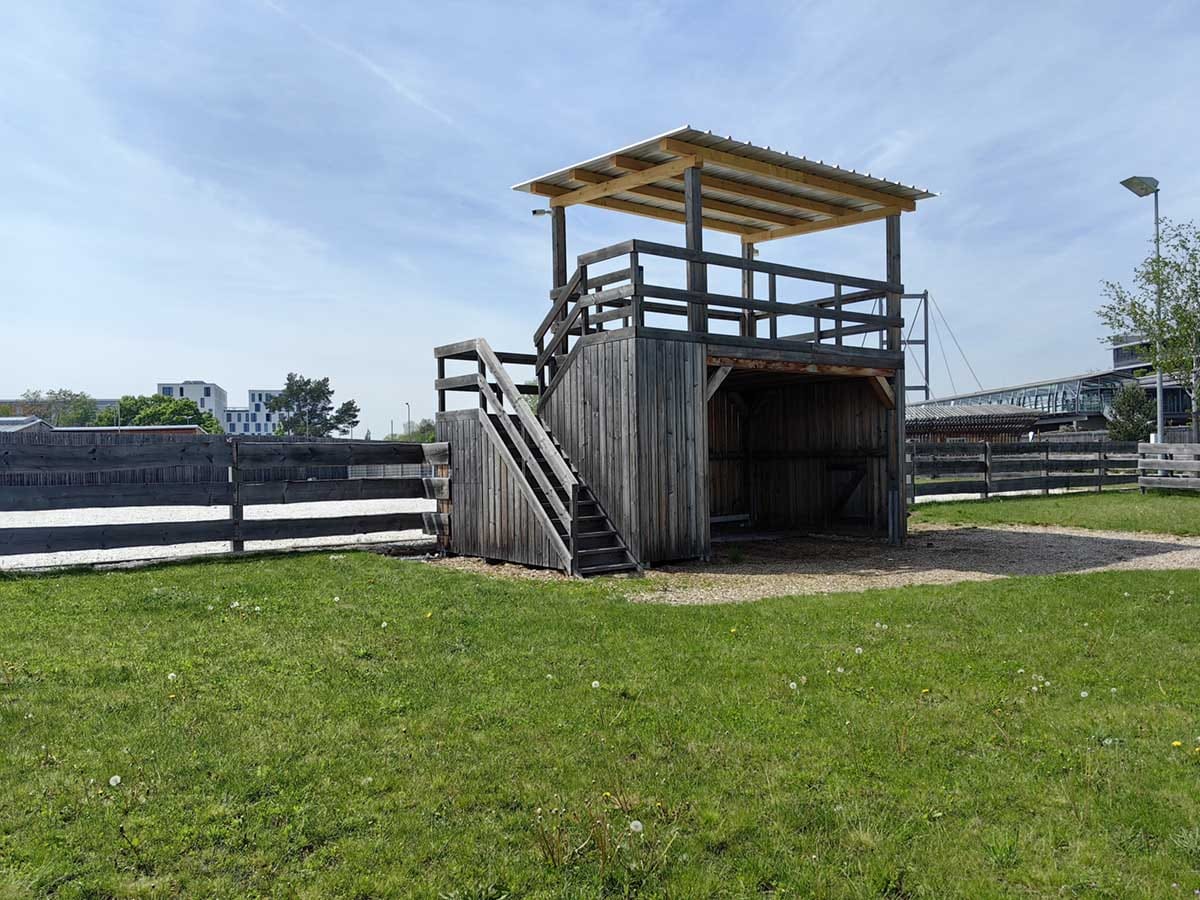  Huawei P60 Pro 8.jpg - SmartLife / Ilija Baošić 