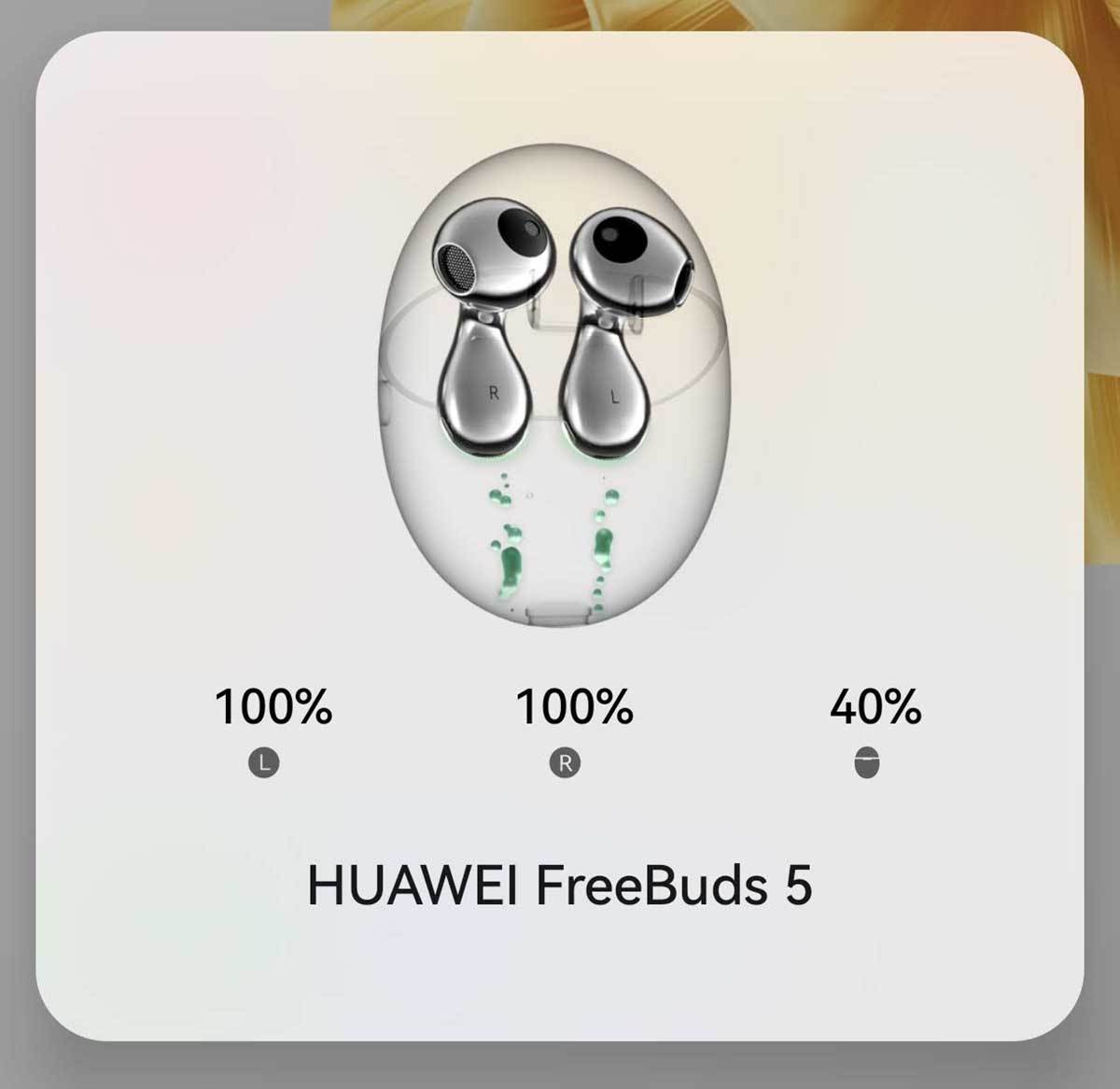 Freebuds 5 Freebuds 5