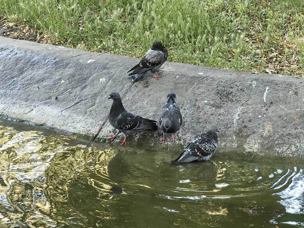  Huawei Mate X3 kamera dan 5.jpg - SmartLife / Ilija Baošić 