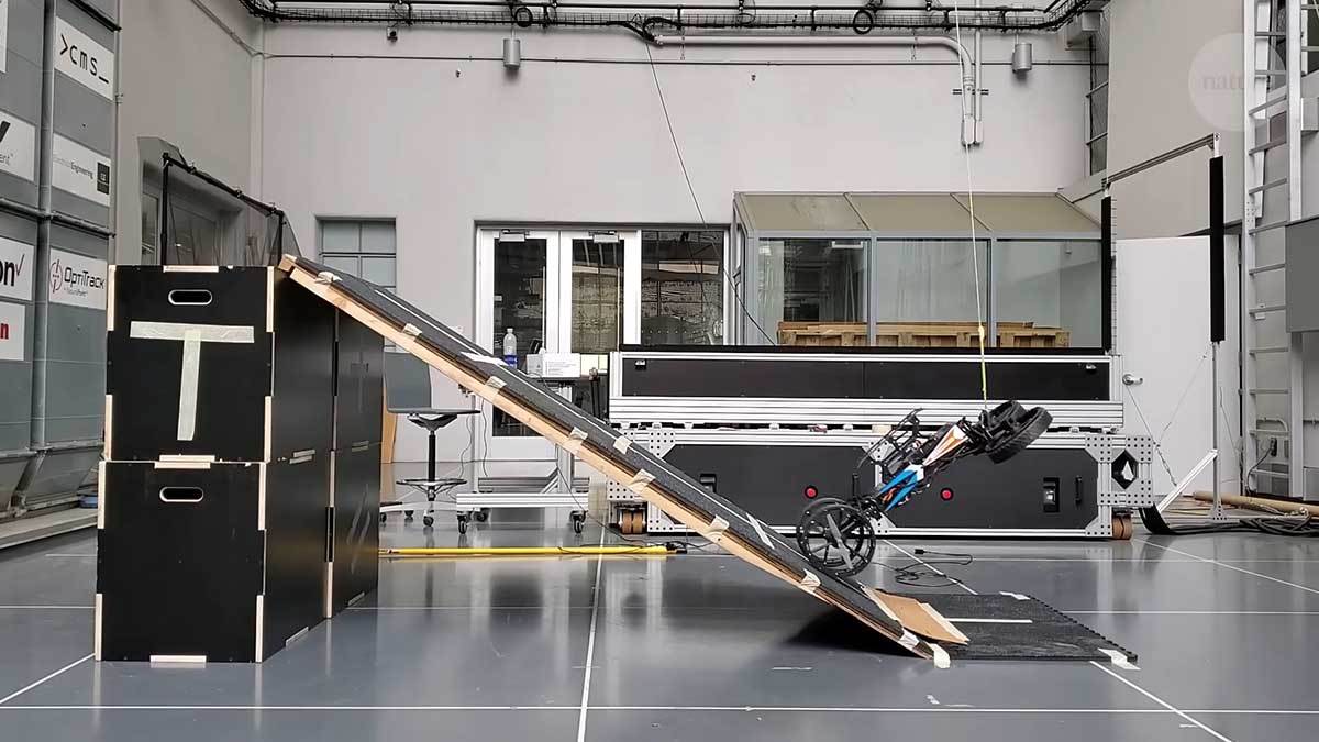 Morphobot M4 1.jpg - YouTube / nature video   Morphobot M4 1.jpg - YouTube / nature video