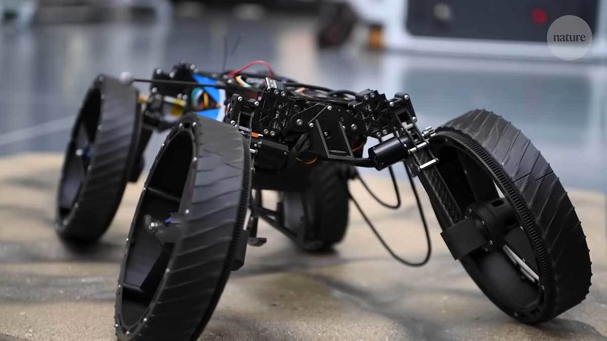 Morphobot M4 3.jpg - YouTube / nature video   Morphobot M4 3.jpg - YouTube / nature video