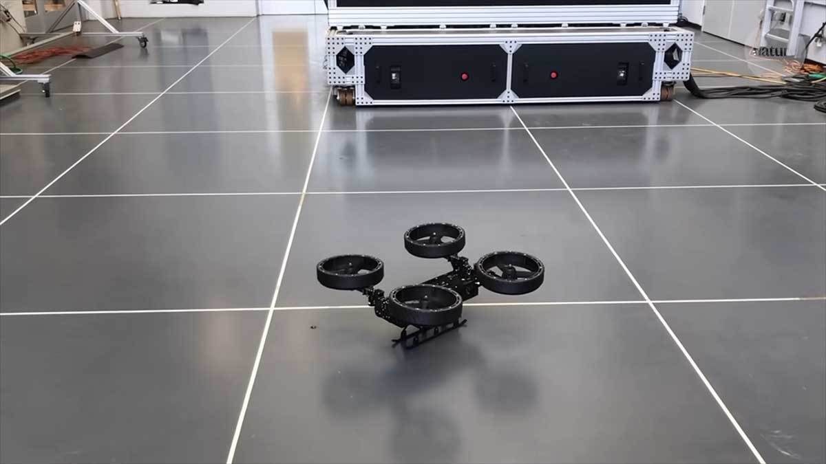  Morphobot M4 4.jpg - YouTube / nature video 