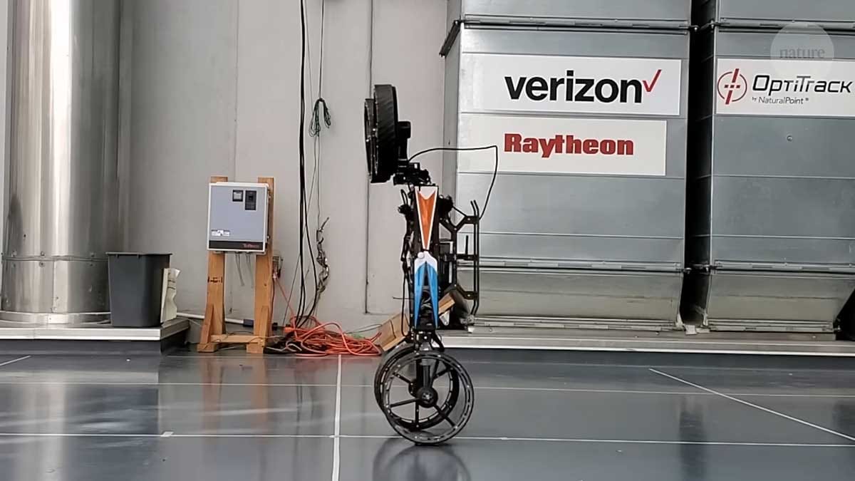 Morphobot M4 6.jpg - YouTube / nature video   Morphobot M4 6.jpg - YouTube / nature video