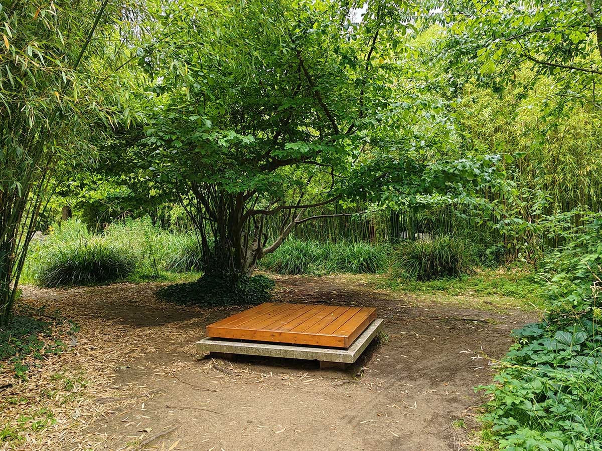  HONOR 90 kamere dan 15.jpg - SmartLife / Ilija Baošić 