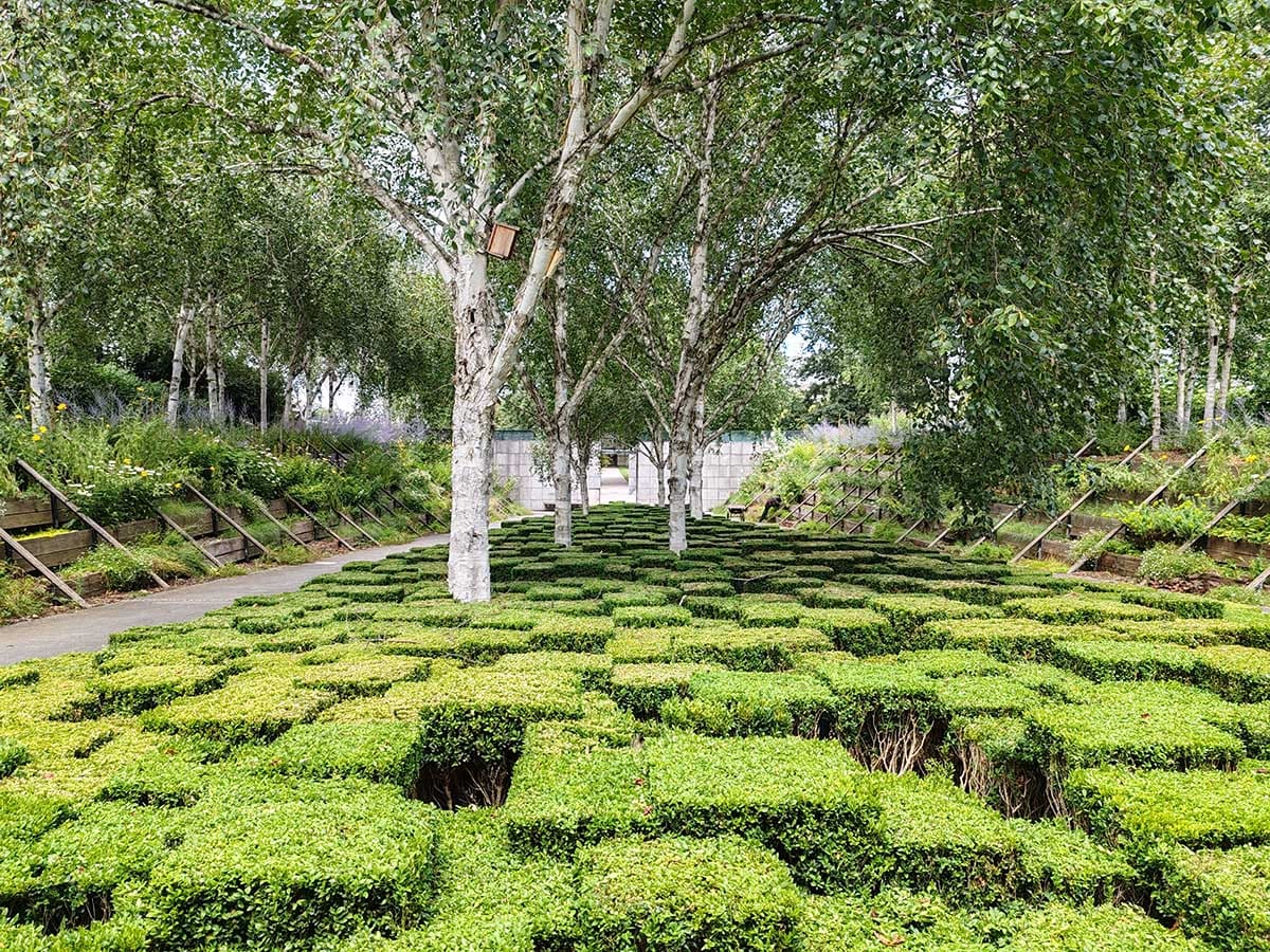  HONOR 90 kamere dan 13.jpg - SmartLife / Ilija Baošić 