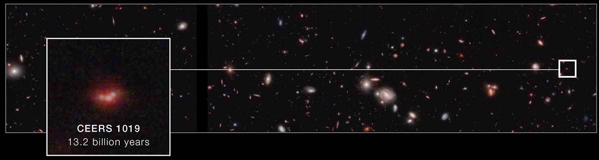 CEERS 1019   CEERS 1019