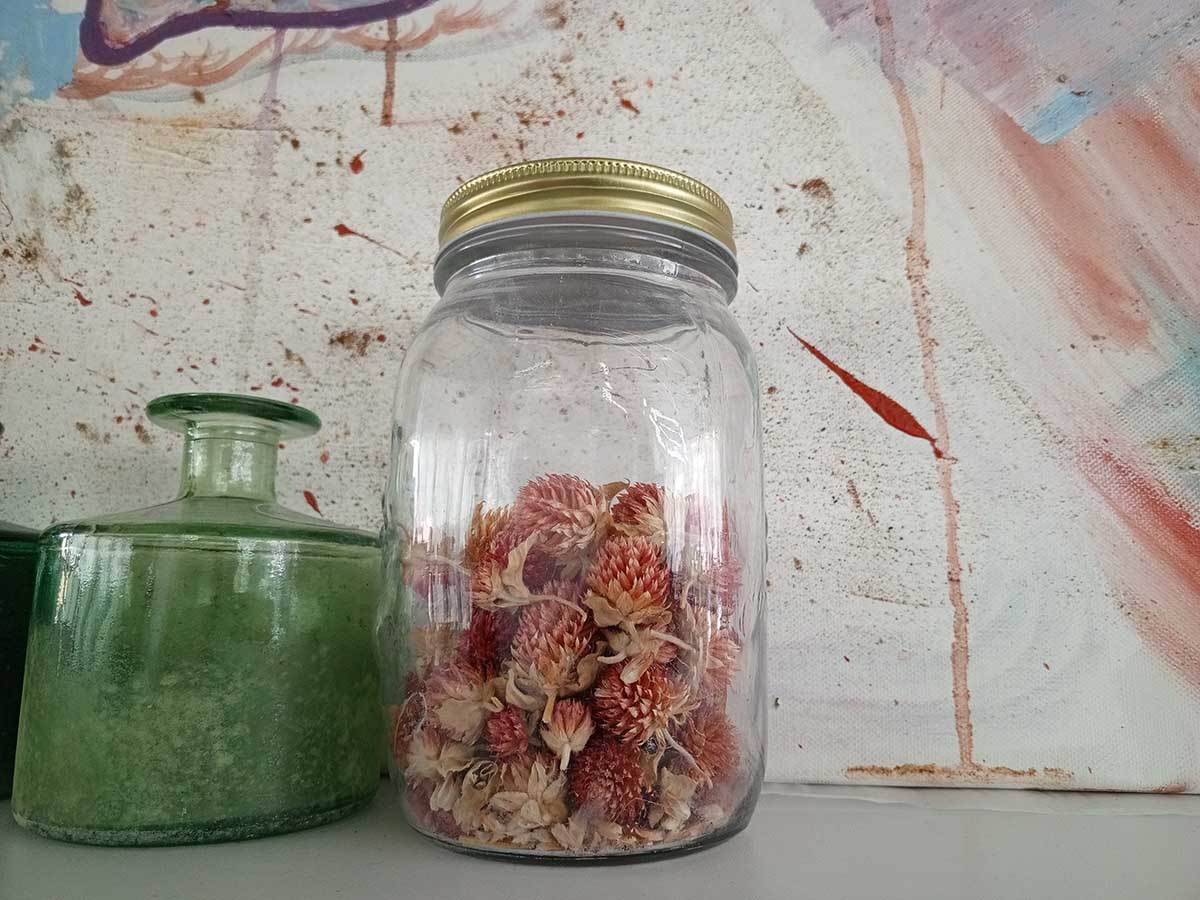 TECNO Spark 10 Pro kamere dan 2.jpg - SmartLife / Ilija Baošić   TECNO Spark 10 Pro kamere dan 2.jpg - SmartLife / Ilija Baošić