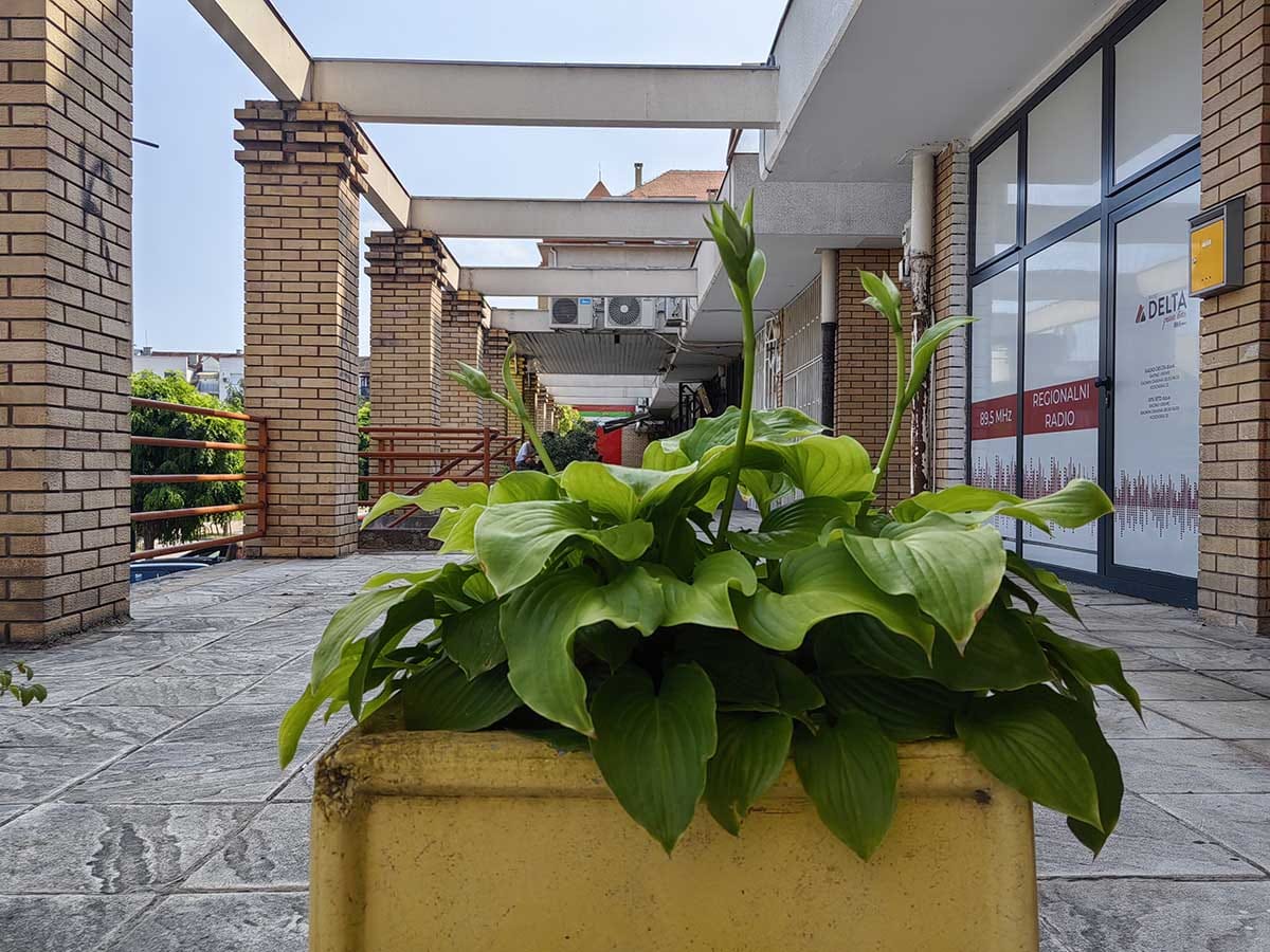  Huawei Nova 11 kamere dan 1.jpg - SmartLife / Ilija Baošić 