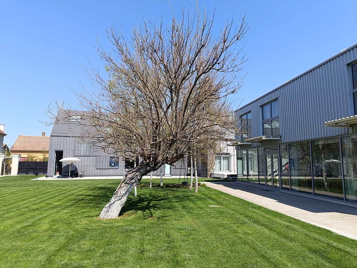  Redmi Note 12 Pro 5G kamere dan 1.jpg - SmartLife / Ilija Baošić 