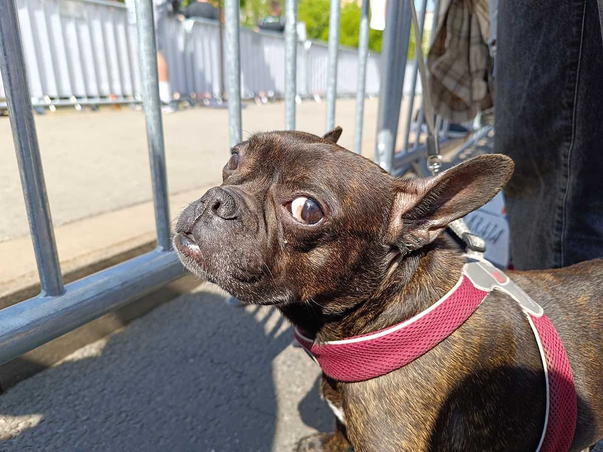  Redmi Note 12 Pro+ 5G kamere dan 5.jpg - SmartLife / Ilija Baošić 