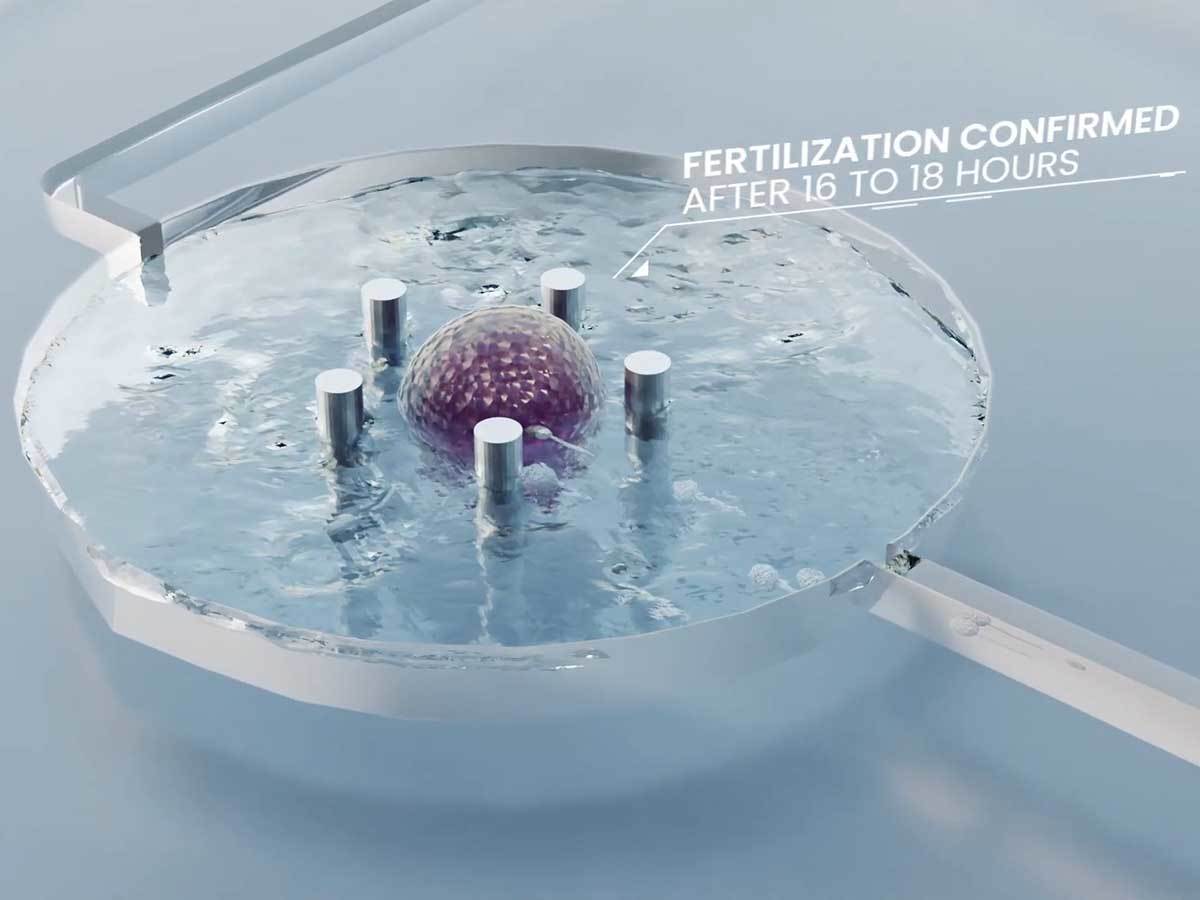  SpaceBorn United 3.jpg - YouTube / SpaceBorn United 