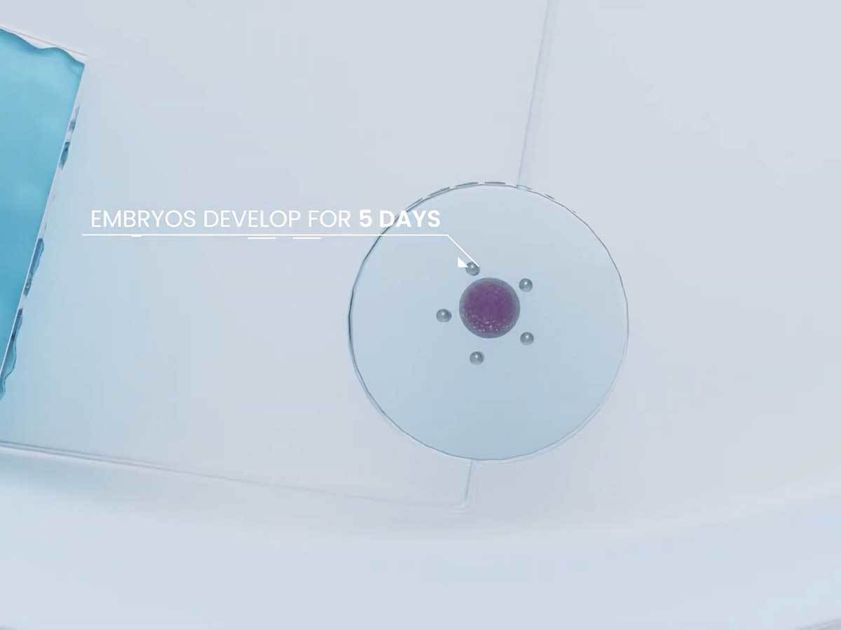  SpaceBorn United 7.jpg 