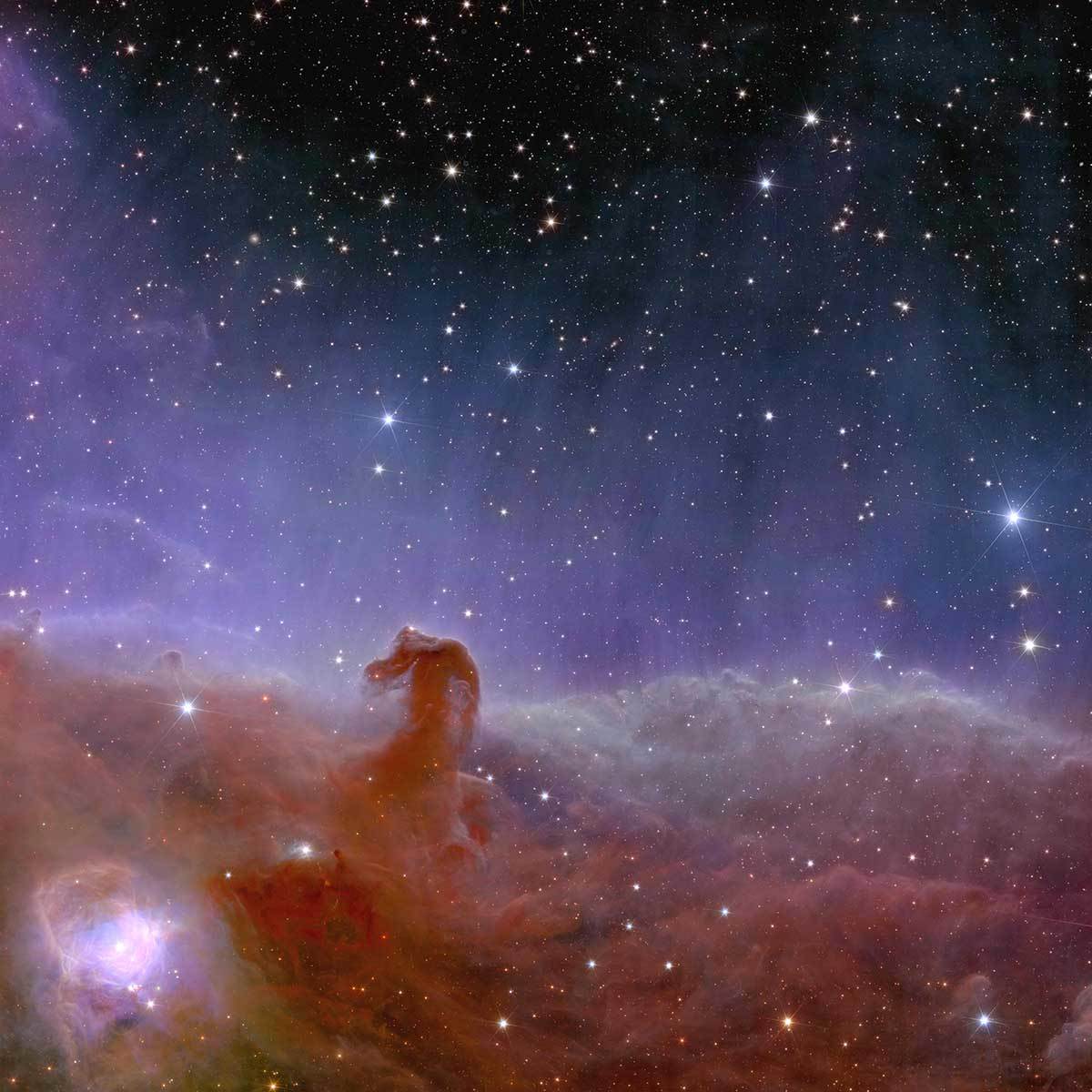  Euclid_s_view_of_the_Horsehead_Nebula.jpg - ESA / Euclid / Euclid Consortium / NASA / J.-C. Cuillandre / G. Anselmi, CC BY-SA 3.0 IGO 
