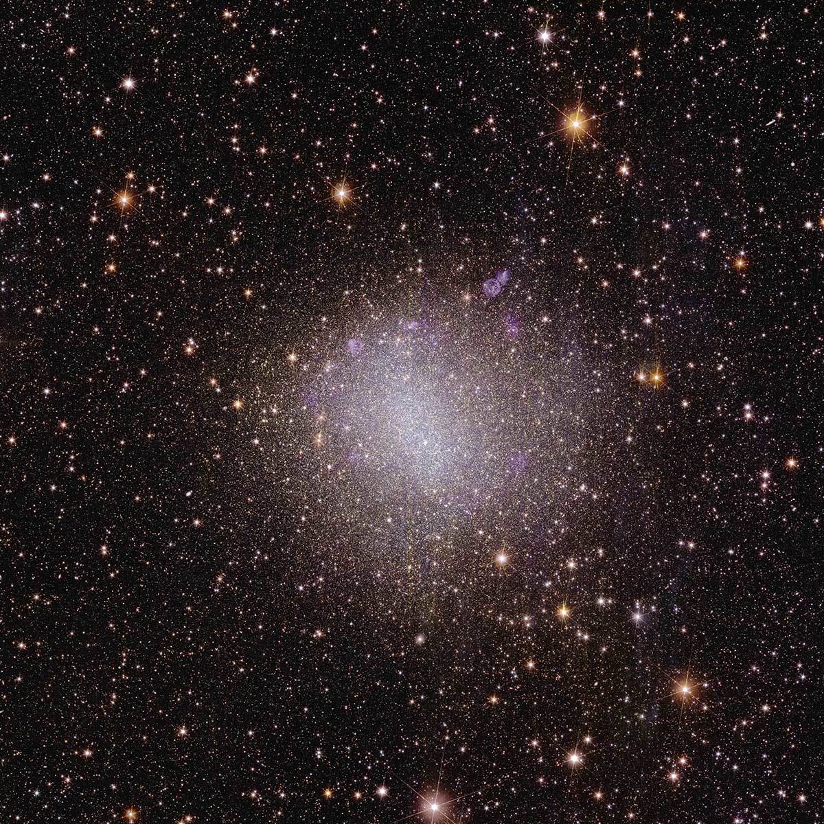  Euclid_s_view_of_irregular_galaxy_NGC_6822.jpg 