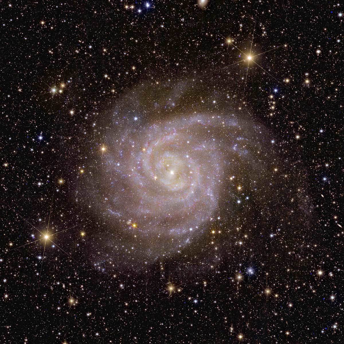  Euclid_s_view_of_spiral_galaxy_IC_342.jpg - ESA / Euclid / Euclid Consortium / NASA / J.-C. Cuillandre / G. Anselmi, CC BY-SA 3.0 IGO 