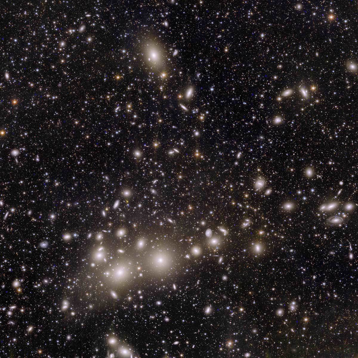 Euclid_s_view_of_the_Perseus_cluster_of_galaxies.jpg - ESA / Euclid / Euclid Consortium / NASA / J.-C. Cuillandre / G. Anselmi, CC BY-SA 3.0 IGO 