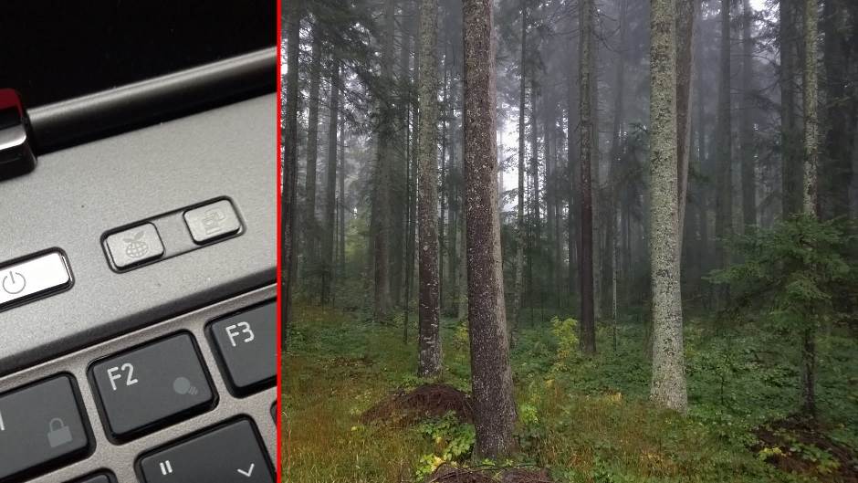   - Marko Čavić/MONDO portal. 