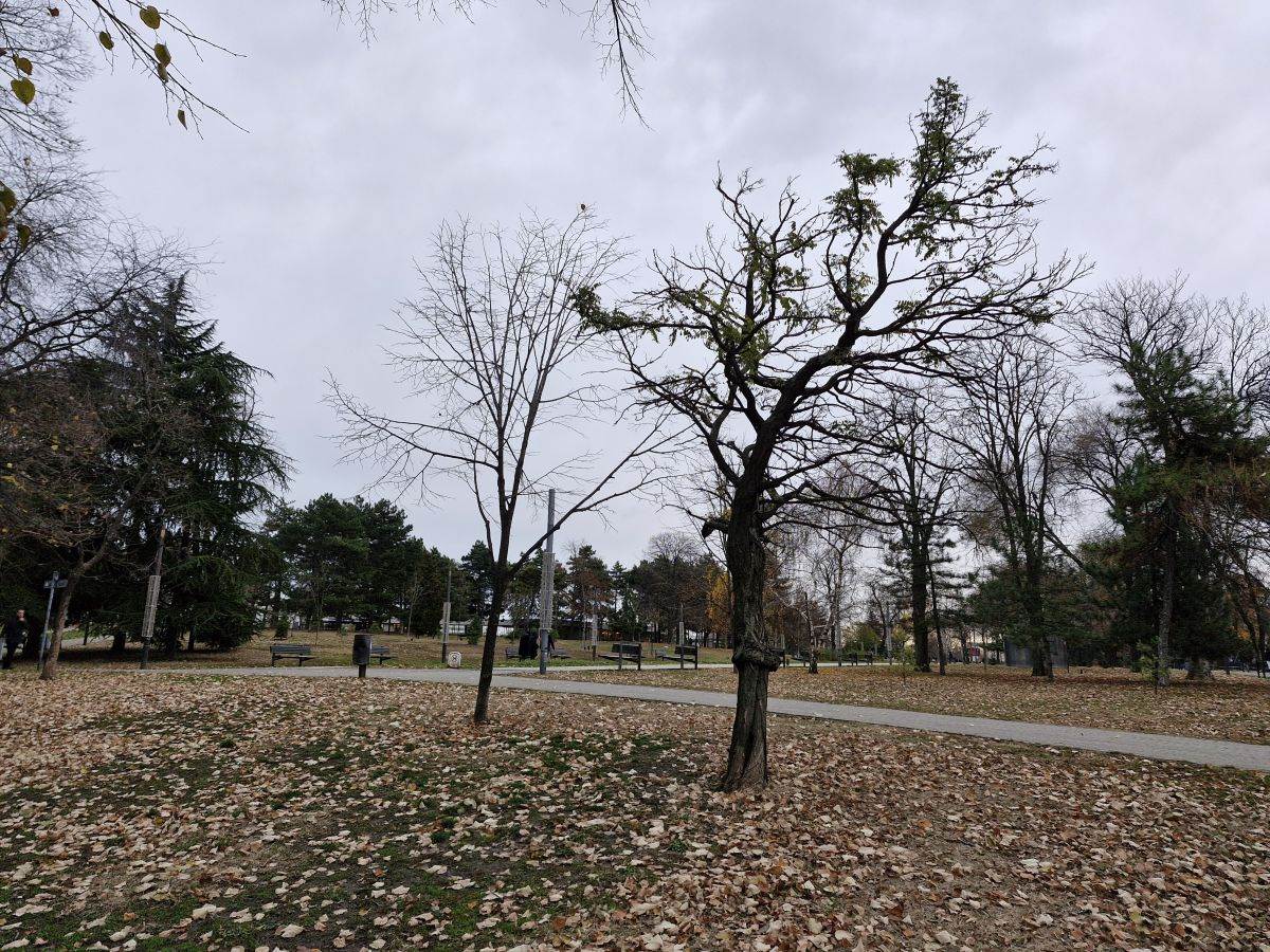  Samsung Galaxy S23 FE _ fotografije _ Foto Mondo Ilija Baošić (4).jpg - SmartLife / Ilija Baošić 