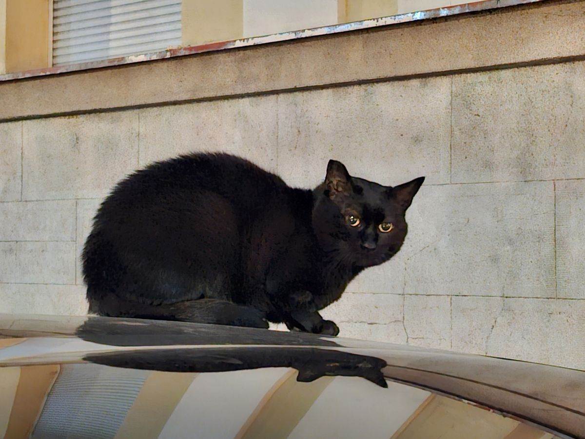  Samsung Galaxy S23 FE _ fotografije _ Foto Mondo Ilija Baošić (6).jpg - SmartLife / Ilija Baošić 