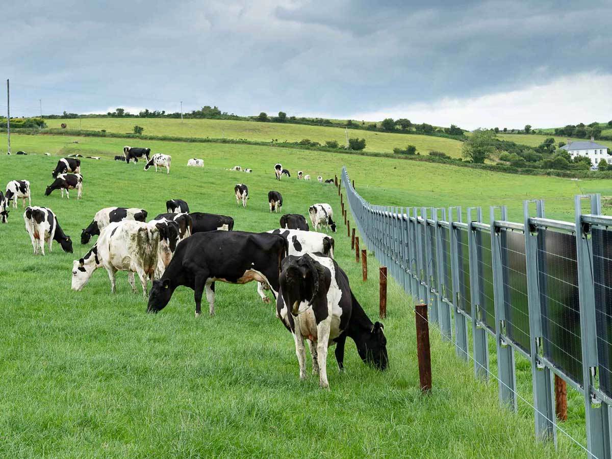 Solarne ograde na imanju   Solarne ograde na imanju