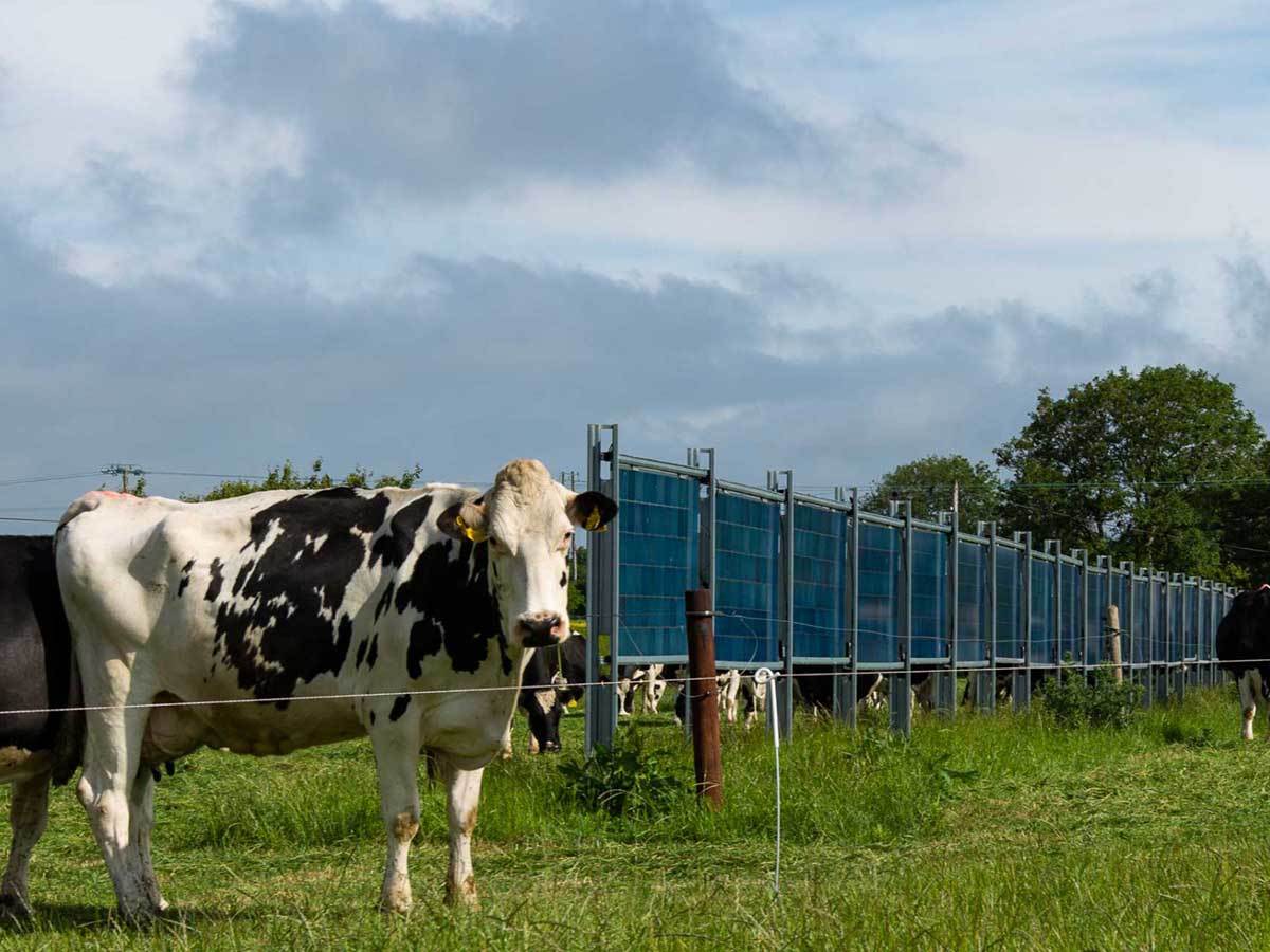  Solarne ograde 3.jpg - Sun Stream Energy Solutions 