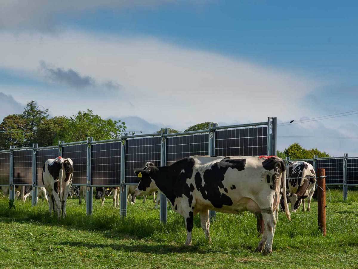  Solarne ograde 2.jpg - Sun Stream Energy Solutions 