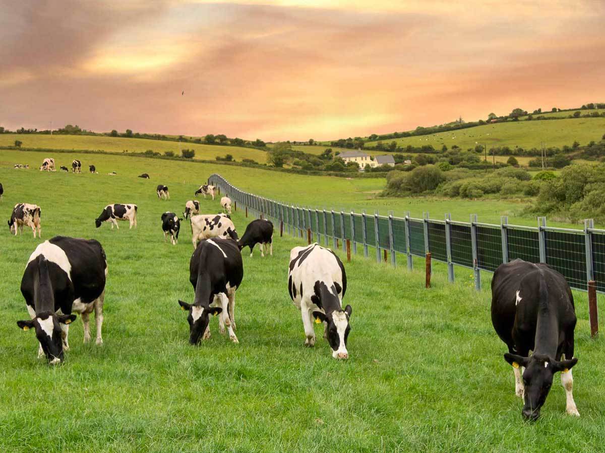  Solarne ograde 5.jpg 