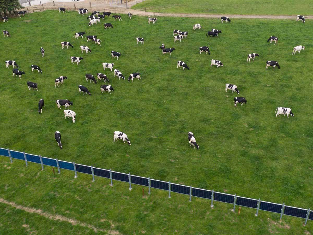  Solarne ograde 1.jpg - Sun Stream Energy Solutions 