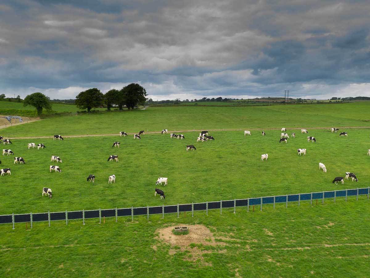  Solarne ograde 4.jpg - Sun Stream Energy Solutions 