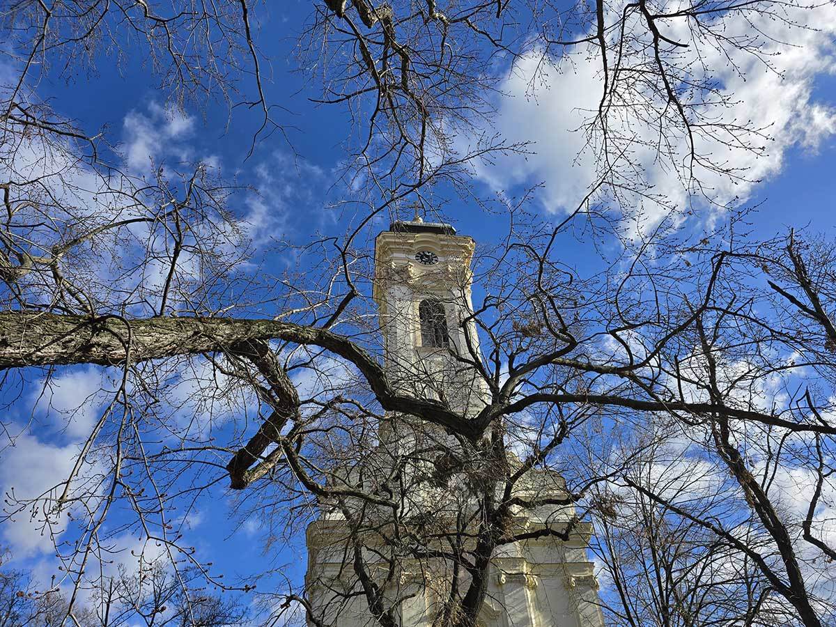  Galaxy S24 Ultra test kamere dan 2.jpg - SmartLife / Ilija Baošić 