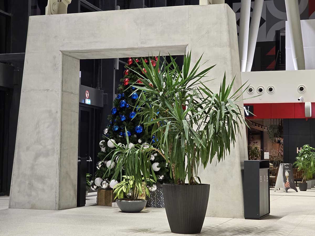  Galaxy S24 Ultra test kamere noć 3.jpg - SmartLife / Ilija Baošić 