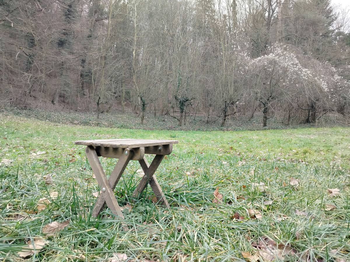  realme C67 test kamere dan 13.jpg - SmartLife / Ilija Baošić 