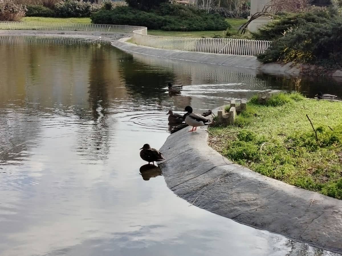  realme C67 test kamere dan 3.jpg - SmartLife / Ilija Baošić 