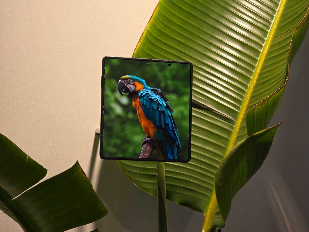  Honor Magic V2 RSR _ Foto Smartlife Ilija Baošić (2).jpg 