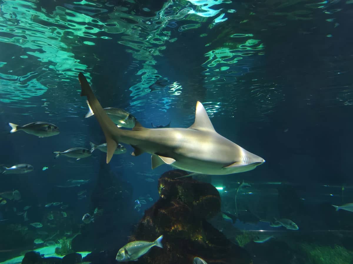  Xiaomi 14 test kamera noć 7.jpg 