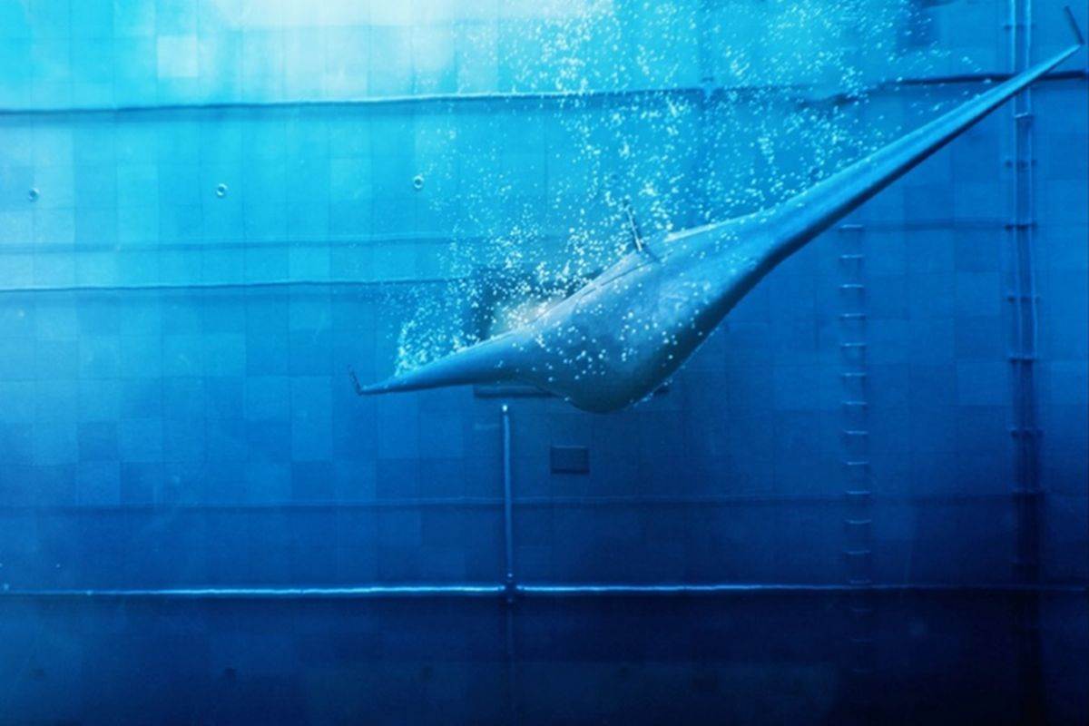 Manta Ray _ podvodni dron _ Foto YouTube Northrop Grumman - YouTube / Northrop Grumman   Manta Ray _ podvodni dron _ Foto YouTube Northrop Grumman - YouTube / Northrop Grumman