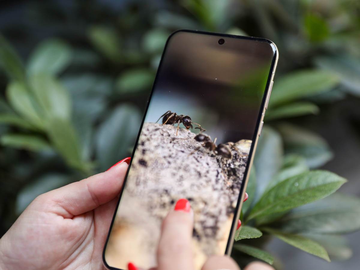 Huawei Pura 70 ekran Huawei Pura 70 ekran