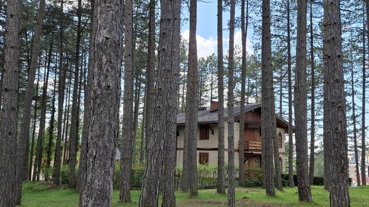  Samsung Galaxy A55 fotografije Zlatibor _ Foto SmartLife MBJ (2).jpg - SmartLife / MBJ 