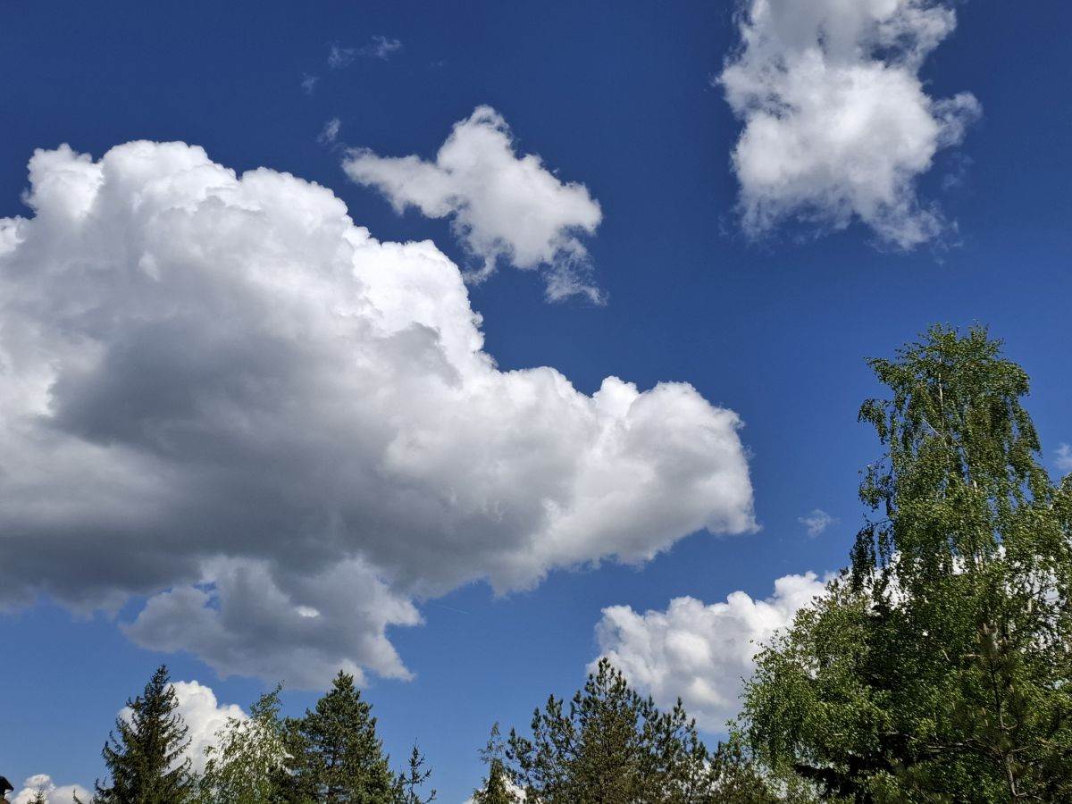  Samsung Galaxy A55 fotografije Zlatibor _ Foto SmartLife MBJ (3).jpg 