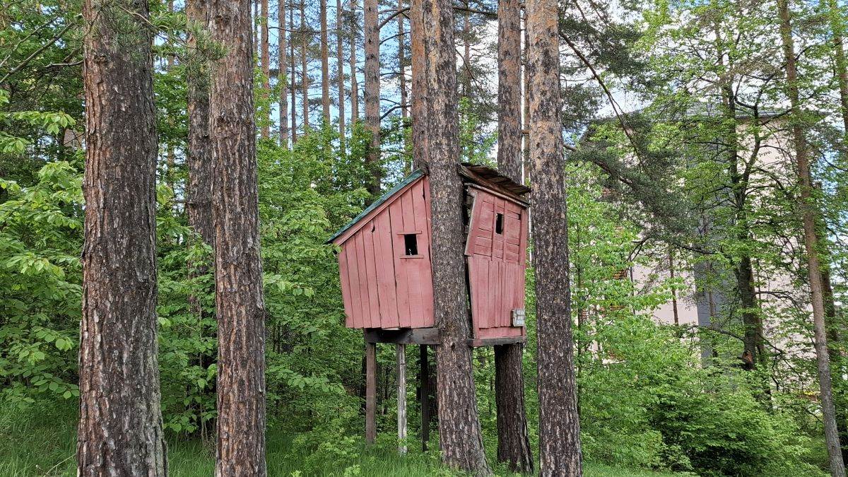  Samsung Galaxy A55 fotografije Zlatibor _ Foto SmartLife MBJ (4).jpg - SmartLife / MBJ 