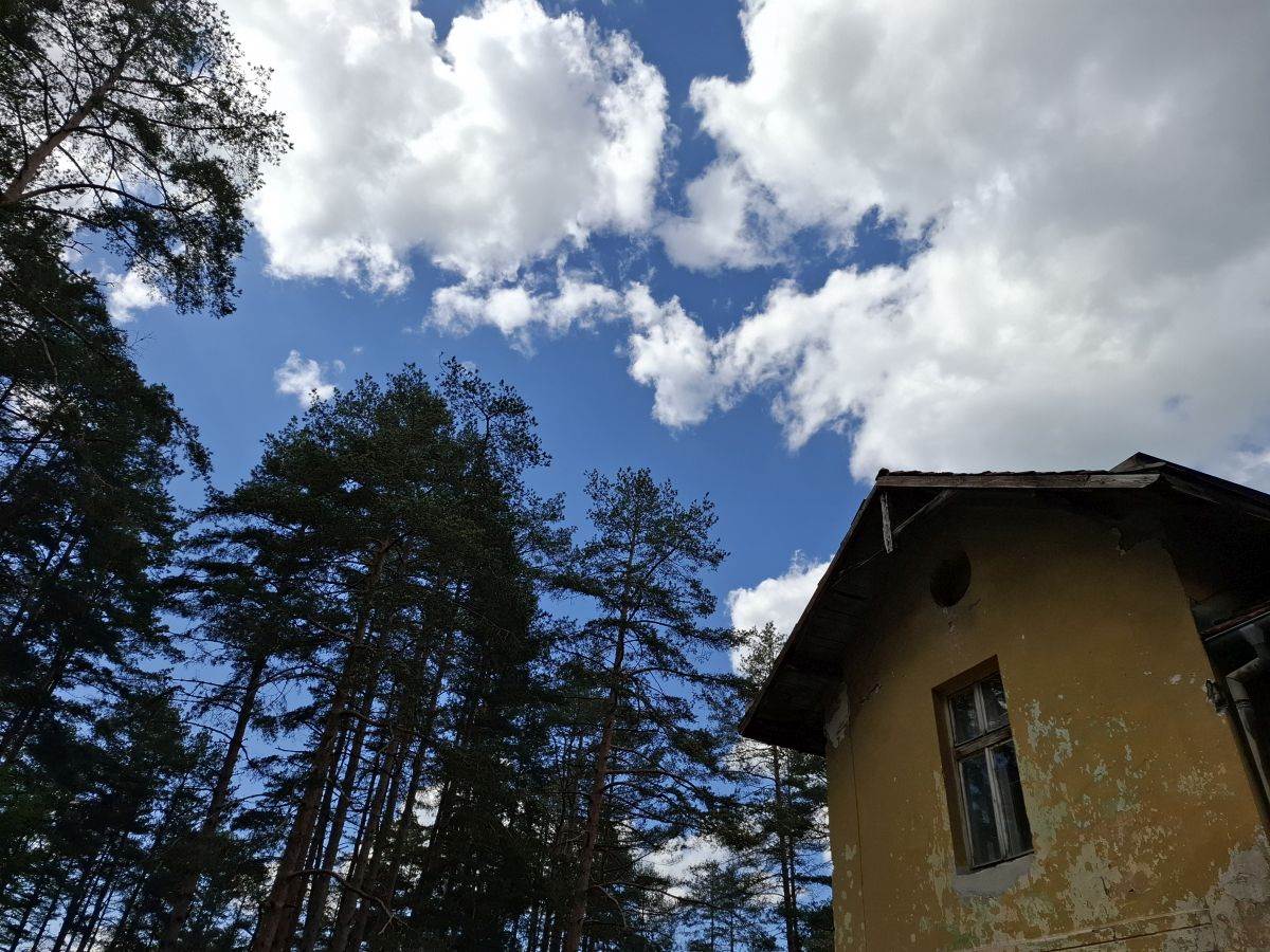  Samsung Galaxy A55 fotografije Zlatibor _ Foto SmartLife MBJ (6).jpg 