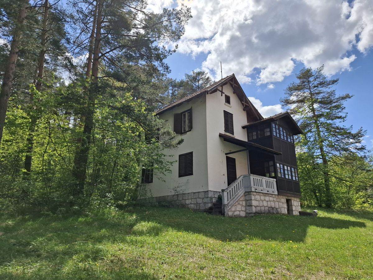  Samsung Galaxy A55 fotografije Zlatibor _ Foto SmartLife MBJ (7).jpg - SmartLife / MBJ 