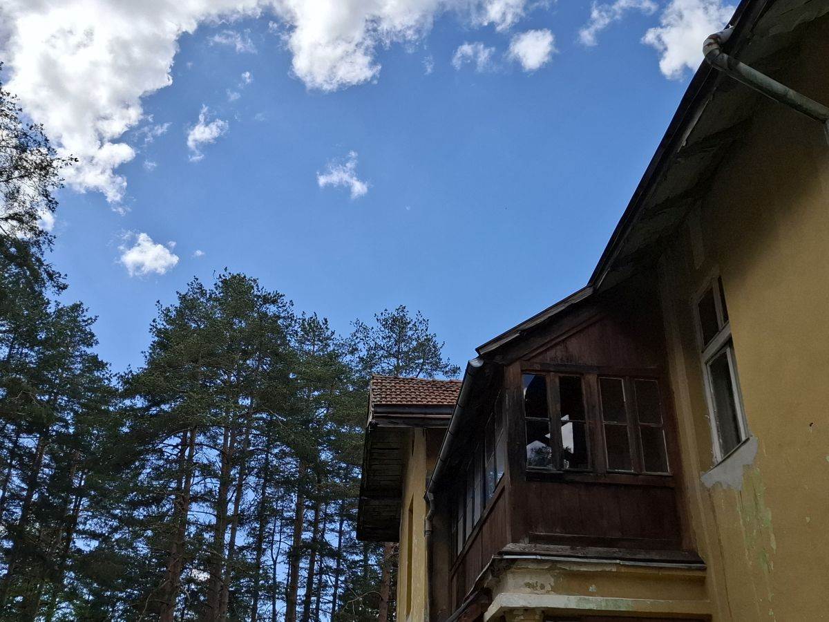  Samsung Galaxy A55 fotografije Zlatibor _ Foto SmartLife MBJ (8).jpg - SmartLife / MBJ 