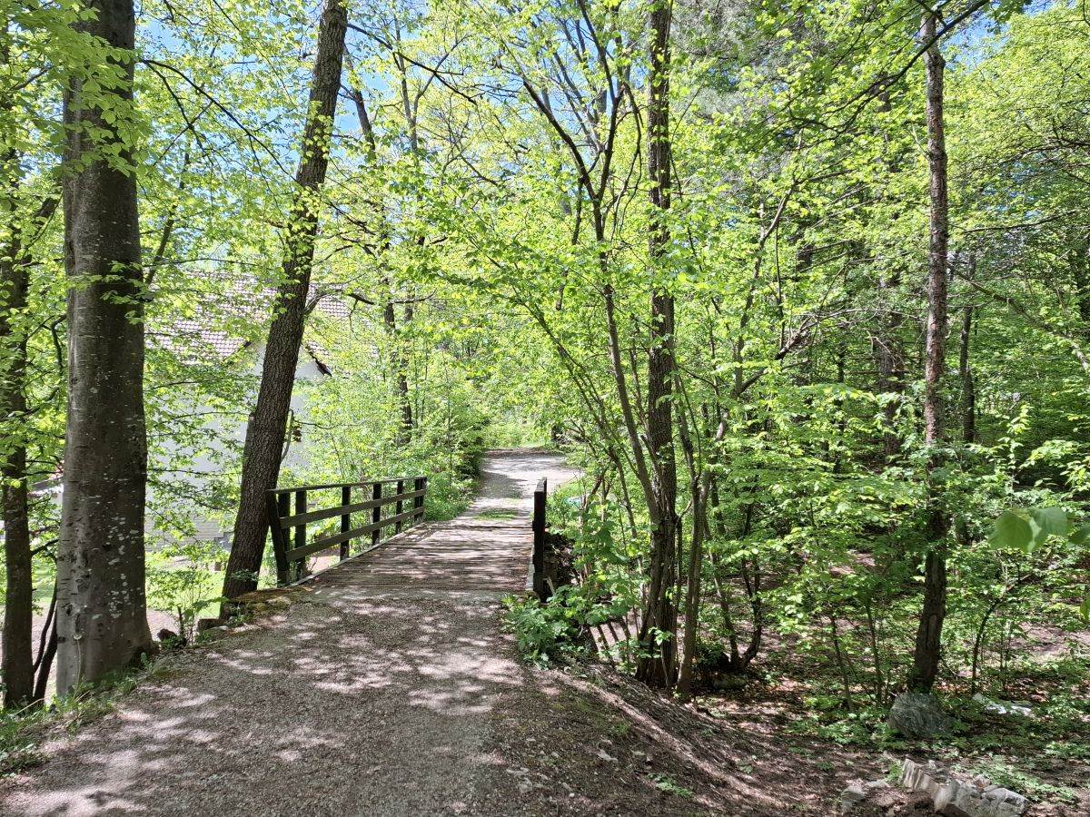  Samsung Galaxy A55 fotografije Zlatibor _ Foto SmartLife MBJ (1).jpg 