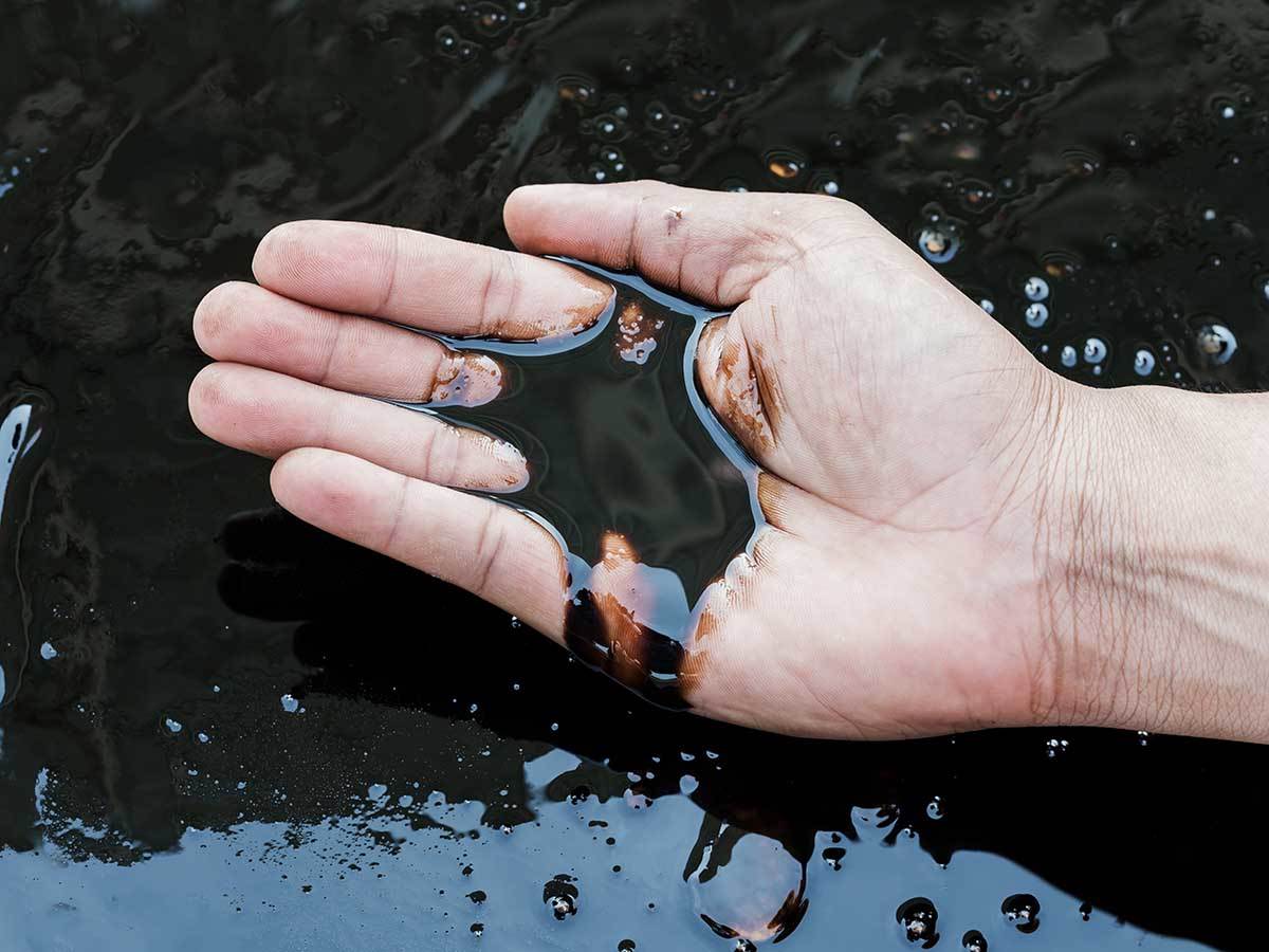 Nafta na dlanu   Nafta na dlanu