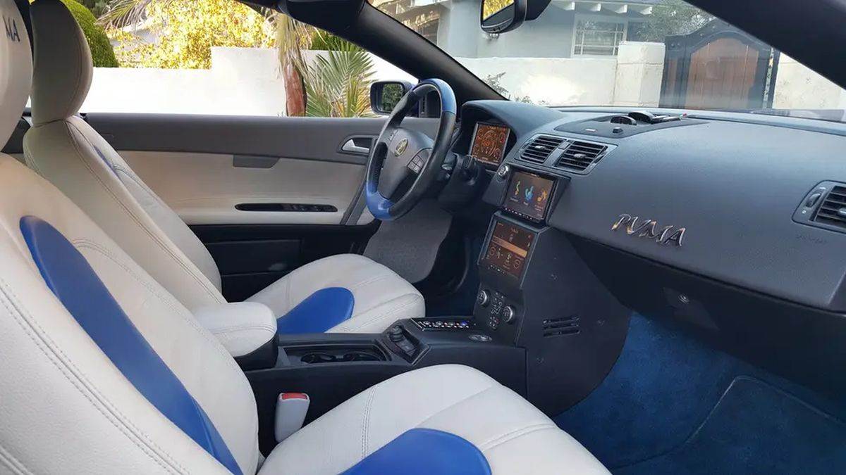 4 Youabian Puma _ Foto Youabian (3).jpg - Youabian   4 Youabian Puma _ Foto Youabian (3).jpg - Youabian