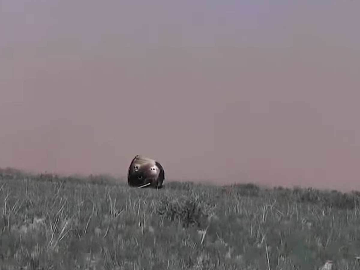 Chang'e 6 sletanje 4.jpg - CCTV   Chang'e 6 sletanje 4.jpg - CCTV